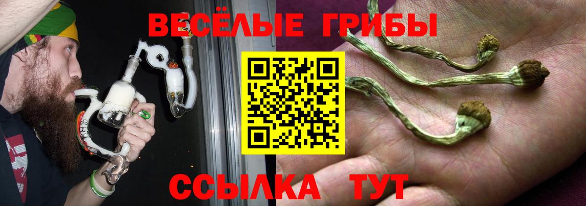 Галлюциногенные грибы мицелий  Вход с VPN  цена   Пушкино  Псилоцибиновые грибы GOLDEN TEACHER 